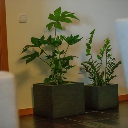 Recanto Do Escalheiro Apartamento *