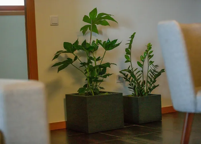 Recanto Do Escalheiro Daire *